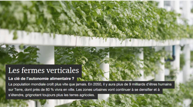 Les fermes verticales, le futur de l’alimentation urbaine ?
