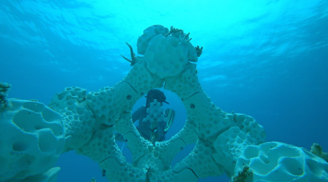 Les récifs imprimés en 3D bientôt dans les océans du monde entier !